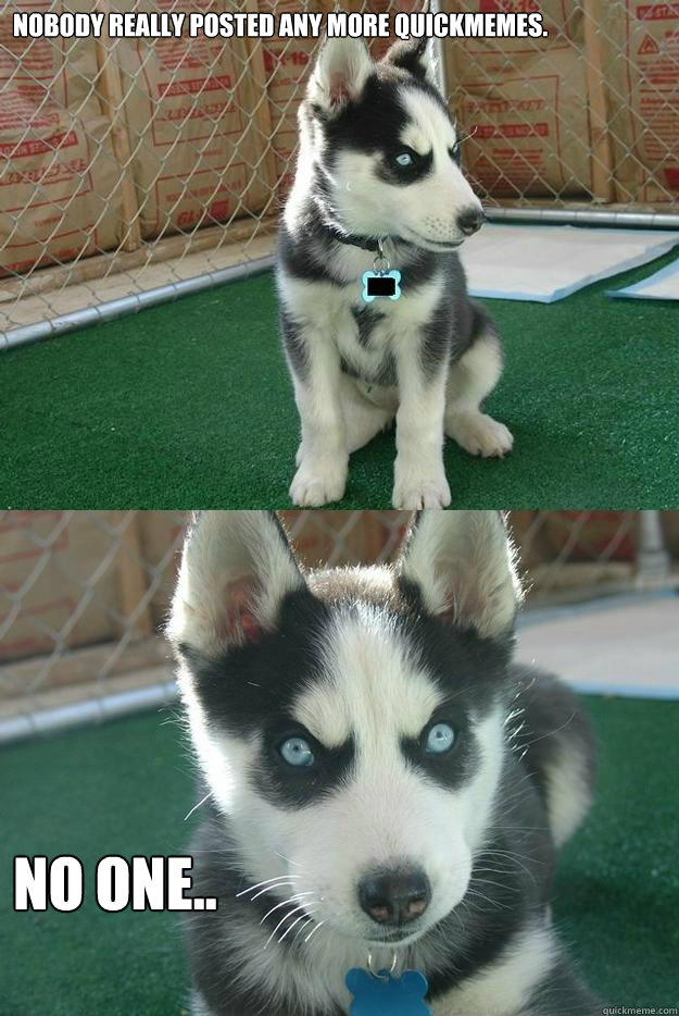 Nobody really posted any more quickmemes. NO ONE..  Insanity puppy
