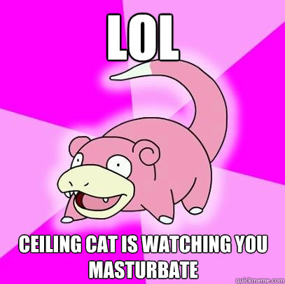 LOL ceiling cat is watching you masturbate  Slowpoke