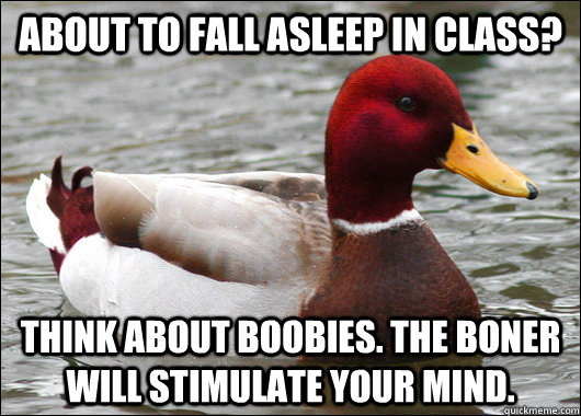 About to fall asleep in class? Think about boobies. The boner will stimulate your mind.  Malicious Advice Mallard