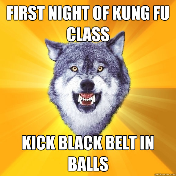 first night of kung fu CLASS KICK BLACK BELT IN BALLS  Courage Wolf
