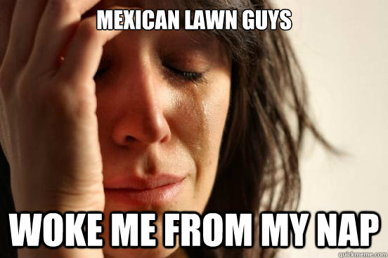 Mexican lawn Guys Woke me from my nap  First World Problems