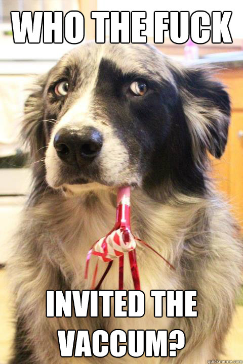 WHO THE FUCK invited the vaccum? - WHO THE FUCK invited the vaccum?  Skeptical Party Dog