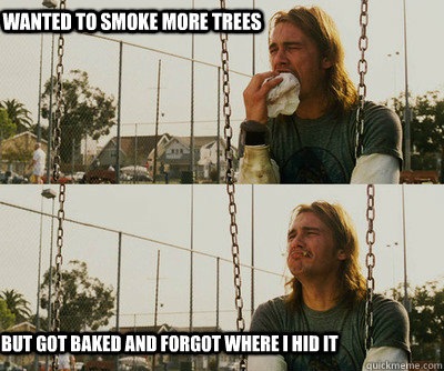 Wanted to smoke more trees but got baked and forgot where I hid it - Wanted to smoke more trees but got baked and forgot where I hid it  First World Stoner Problems