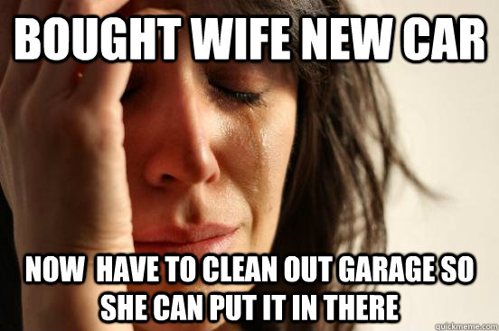 Bought Wife new Car Now  have to clean out garage so she can put it in there  First World Problems