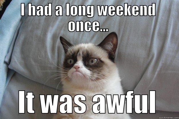 I HAD A LONG WEEKEND ONCE... IT WAS AWFUL Grumpy Cat