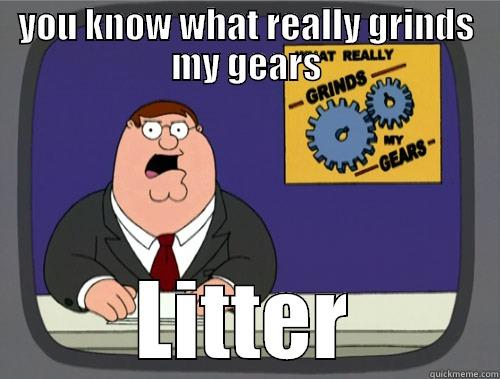 LITTER LITTER - YOU KNOW WHAT REALLY GRINDS MY GEARS LITTER Grinds my gears