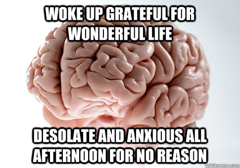 woke up grateful for wonderful life desolate and anxious all afternoon for no reason - woke up grateful for wonderful life desolate and anxious all afternoon for no reason  Scumbag Brain