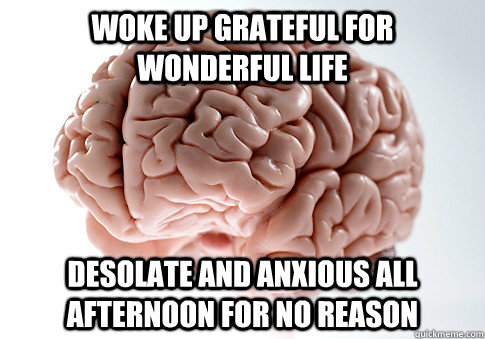 woke up grateful for wonderful life desolate and anxious all afternoon for no reason  Scumbag Brain