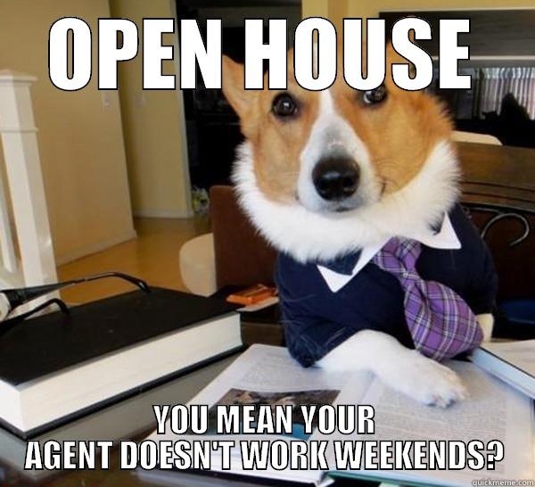 OPEN HOUSE YOU MEAN YOUR AGENT DOESN'T WORK WEEKENDS? Lawyer Dog