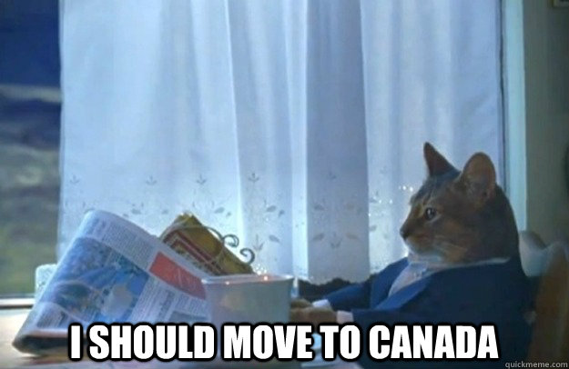  I should move to Canada  Sophisticated Cat