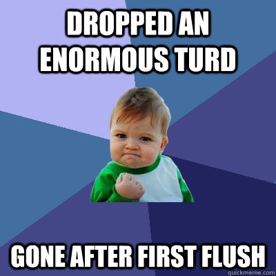dropped an enormous turd gone after first flush  Success Kid