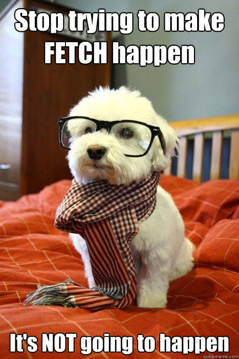 Stop trying to make FETCH happen It's NOT going to happen  Hipster Dog