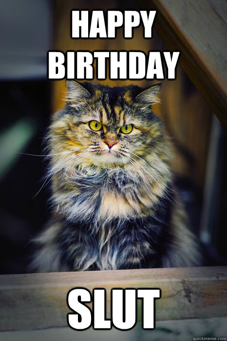 Happy Birthday slut - Happy Birthday slut  Displeased Cat