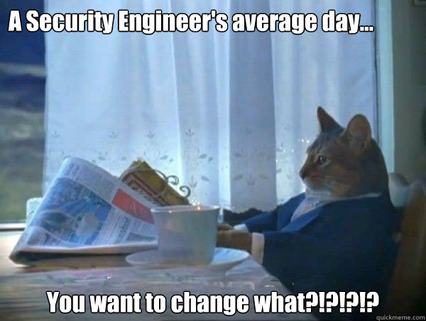 A Security Engineer's average day... You want to change what?!?!?!?  morning realization newspaper cat meme