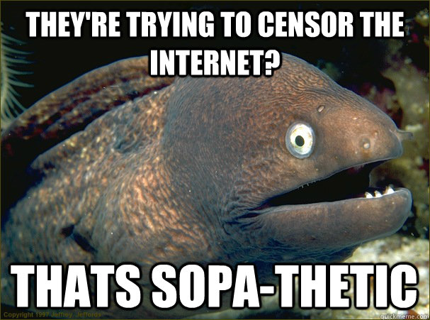 They're trying to censor the internet? Thats SOPA-thetic  Bad Joke Eel