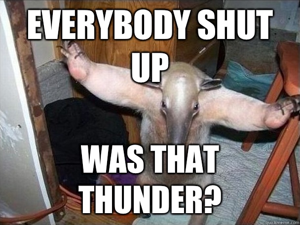 Everybody shut up Was that thunder?  I got this