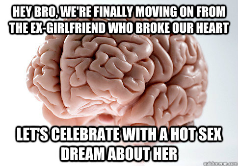 Hey bro, we're finally moving on from the ex-girlfriend who broke our heart Let's celebrate with a hot sex dream about her  Scumbag Brain