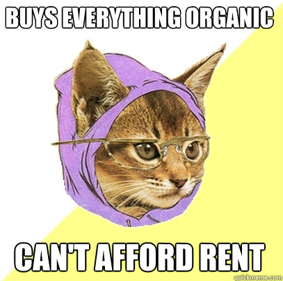 buys everything organic can't afford rent  Hipster Kitty