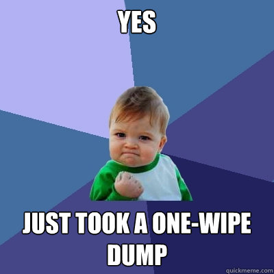 yes just took a one-wipe dump  Success Kid