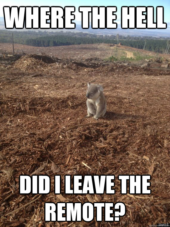 Where the hell did i leave the remote?  
