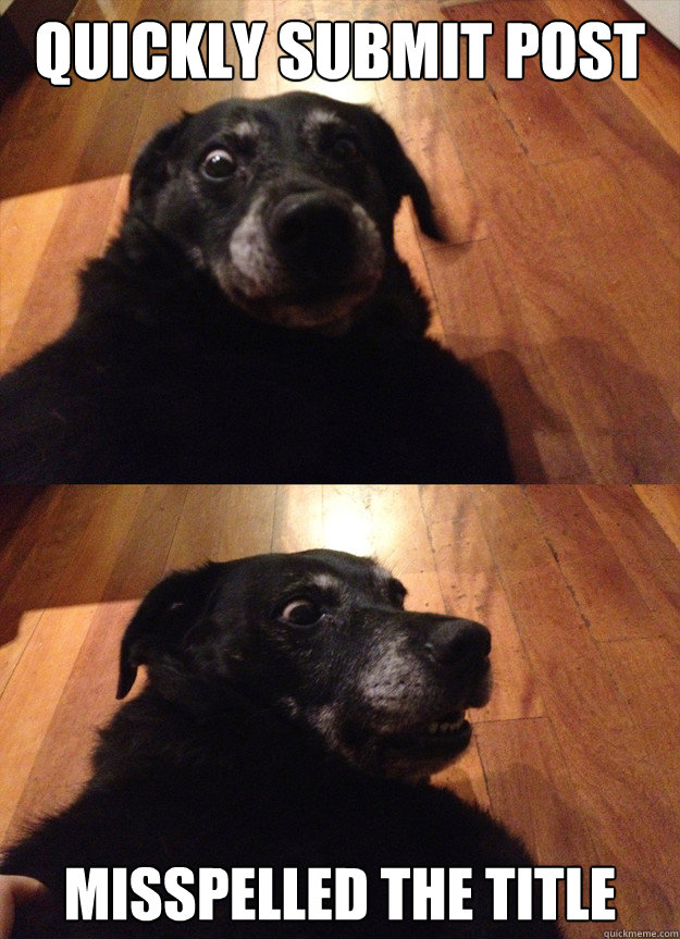 Quickly submit post misspelled the title - Quickly submit post misspelled the title  suddenly sober dog