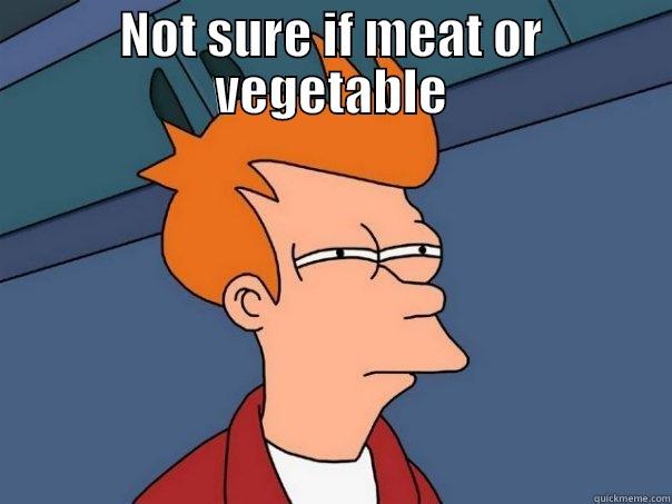 NOT SURE IF MEAT OR VEGETABLE  Futurama Fry