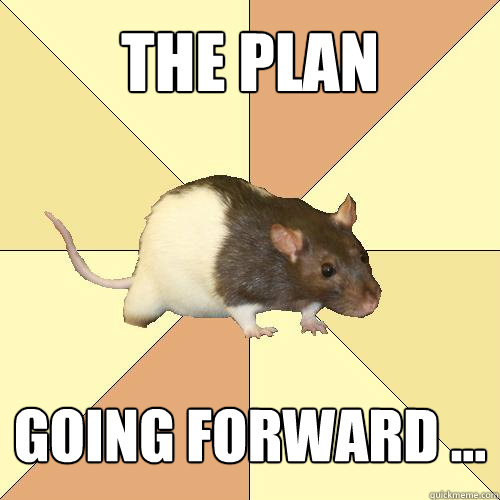 The plan going forward ...  Redundant Rat