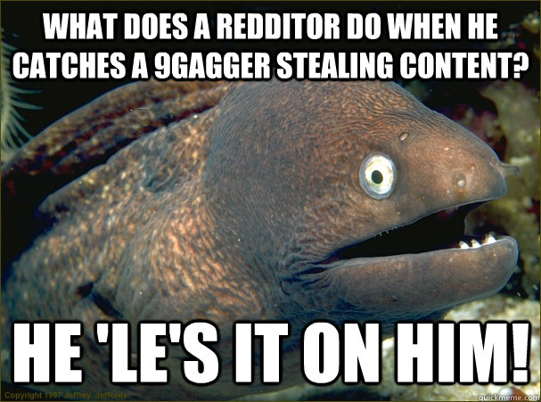What does a Redditor do when he catches a 9Gagger stealing content?  He 'le's it on him!  - What does a Redditor do when he catches a 9Gagger stealing content?  He 'le's it on him!   Bad Joke Eel