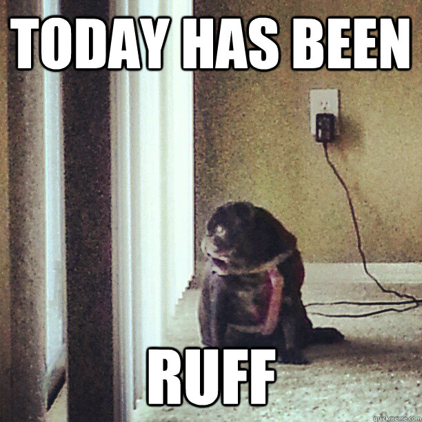 today has been ruff  today has been ruff