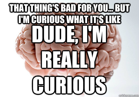 THAT THING'S BAD FOR YOU... BUT I'M CURIOUS WHAT IT'S LIKE DUDE, I'M REALLY CURIOUS   Scumbag Brain