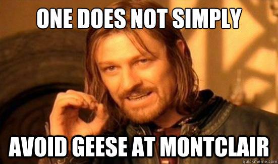 One Does Not Simply avoid geese at montclair  Boromir