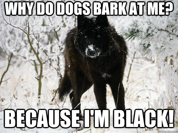 why do dogs bark at me? because i'm black!  