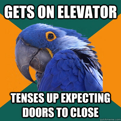 Gets on elevator  Tenses up expecting doors to close  Paranoid Parrot