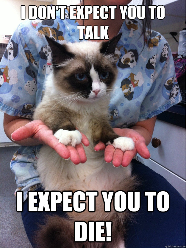 i don't expect you to talk i expect you to die! - i don't expect you to talk i expect you to die!  mastermind cat