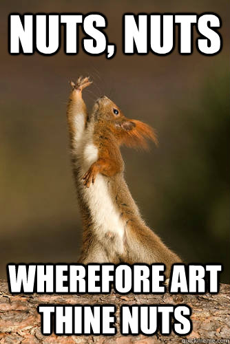 nuts, nuts wherefore art thine nuts  Shakespeare Squirrel