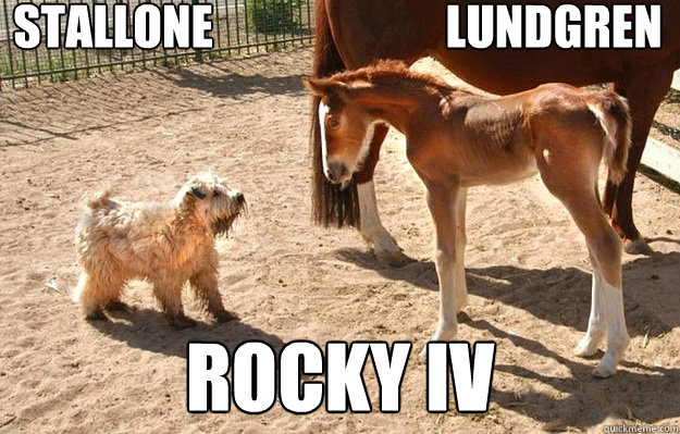 Stallone                         Lundgren Rocky IV - Stallone                         Lundgren Rocky IV  Battling Animals