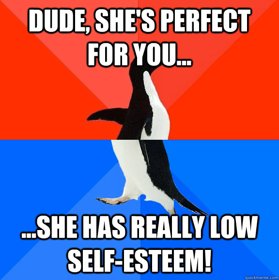 Dude, She's Perfect for You... ...she has really low self-esteem!  Socially Awesome Awkward Penguin