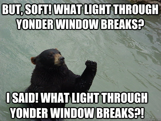But, soft! what light through yonder window breaks? I said! what light through yonder window breaks?!  Vengeful Bear