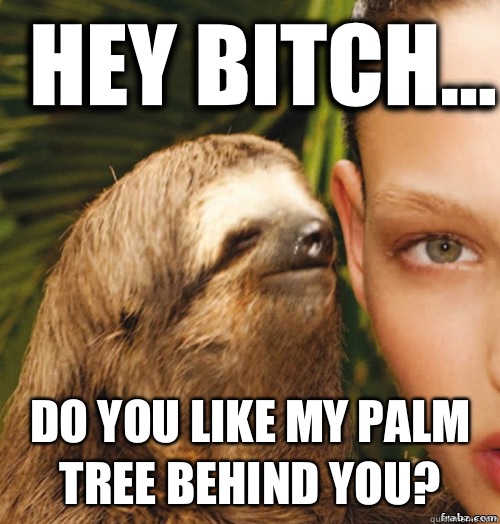 Hey bitch... Do you like my palm tree behind you?  rape sloth