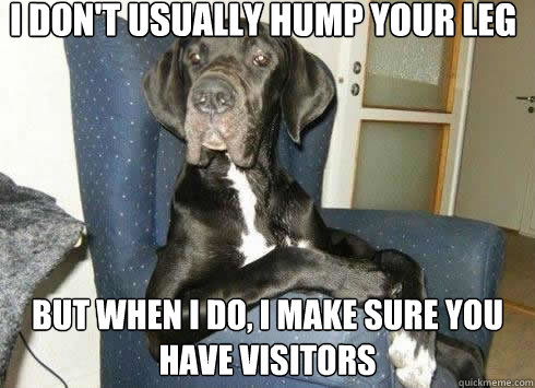 I don't usually hump your leg but when i do, i make sure you have visitors  The Most Interesting Dog in the World