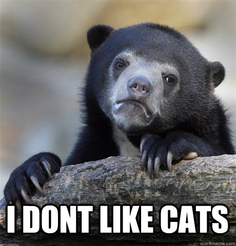  I DONT LIKE CATS -  I DONT LIKE CATS  Confession Bear