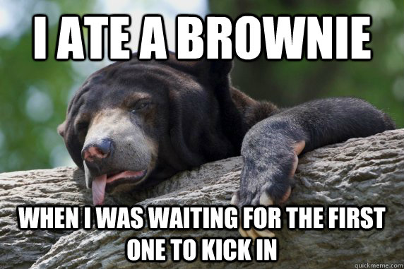 i ate a brownie when i was waiting for the first one to kick in - i ate a brownie when i was waiting for the first one to kick in  Drunken Confession Bear