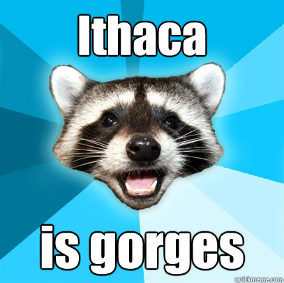 Ithaca is gorges  Lame Pun Coon