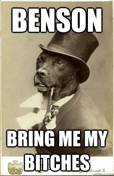 benson bring me my bitches  Old Money Dog