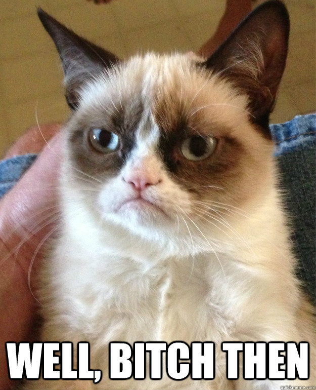 Well, bitch then -  Well, bitch then  Grumpy Cat