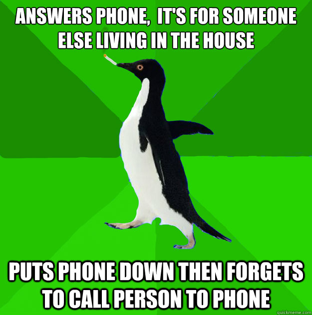 answers phone,  it's for someone else living in the house puts phone down then forgets to call person to phone  Stoner Penguin