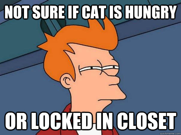 not sure if cat is hungry or locked in closet  Futurama Fry