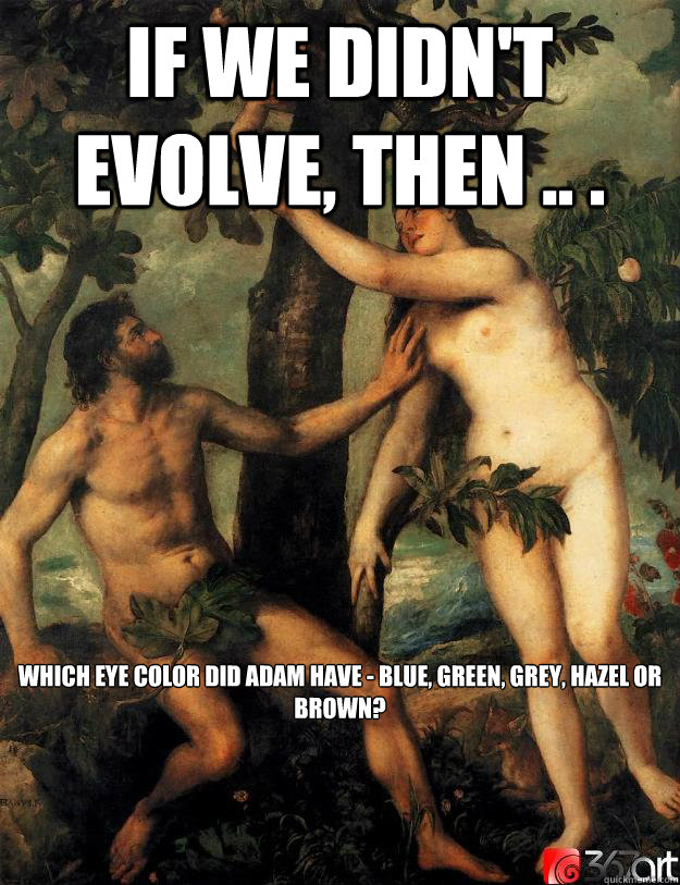 If we didn't evolve, then .. .  which eye color did Adam have - Blue, Green, Grey, Hazel or Brown? - If we didn't evolve, then .. .  which eye color did Adam have - Blue, Green, Grey, Hazel or Brown?  Scumbag Adam