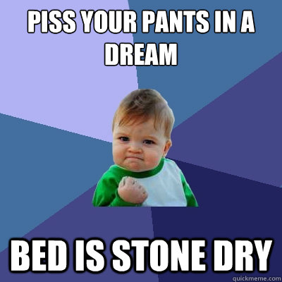 piss your pants in a dream bed is stone dry  Success Kid