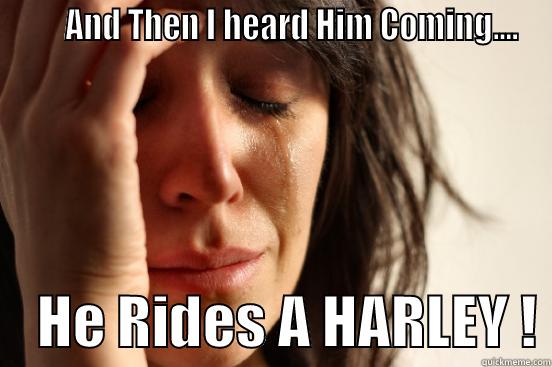       AND THEN I HEARD HIM COMING....     HE RIDES A HARLEY ! First World Problems